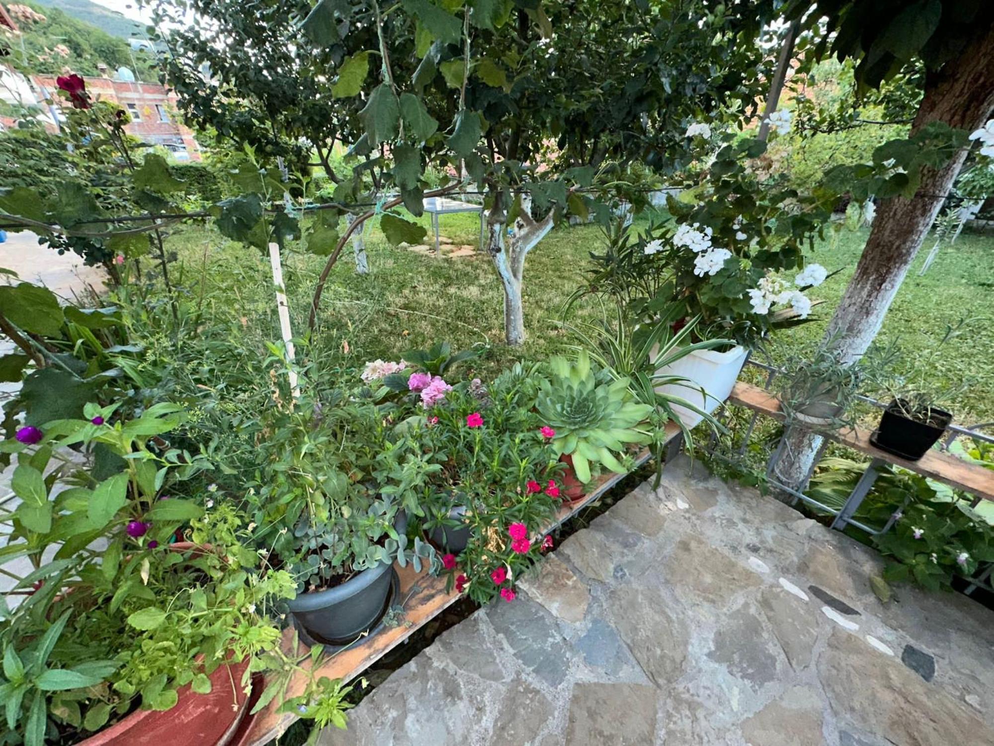 Memlishte Gardenhouse 빌라 외부 사진